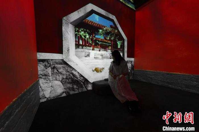 洮河大橋纜索吊安全監(jiān)控系統(tǒng)交付使用！